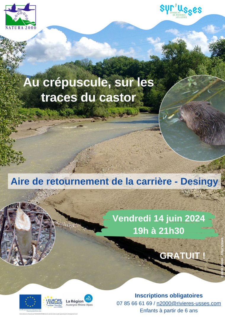 2024-06-14_Affiche_Animation castors