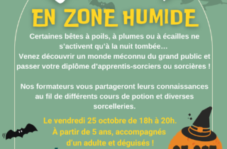 2024-10-25 Une nuit en zone humide