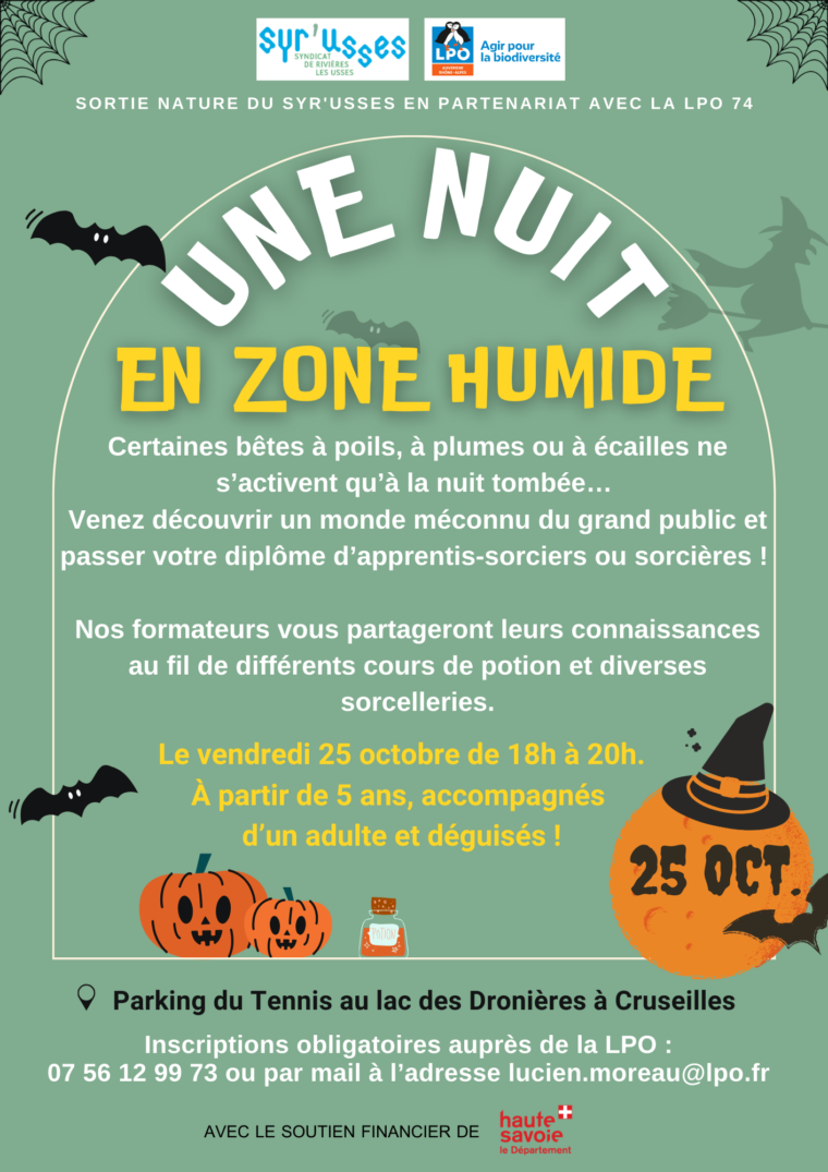 2024-10-25 Une nuit en zone humide